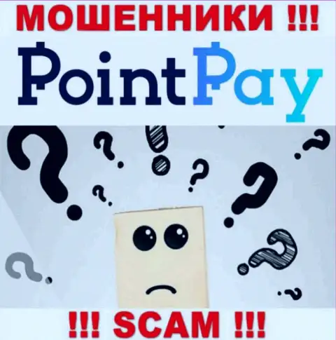 В глобальной сети интернет нет ни единого упоминания о прямых руководителях мошенников Point Pay LLC