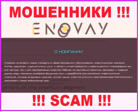 Так как деятельность мошенников EnoVay Com - это сплошной обман, лучше совместной работы с ними избежать