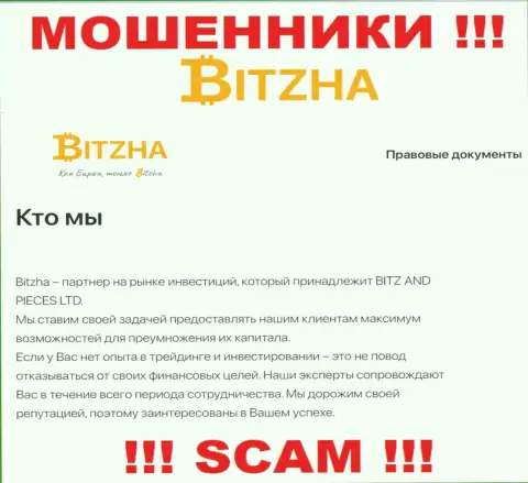 Bitzha - это профессиональные интернет-мошенники, сфера деятельности которых - Инвестирование