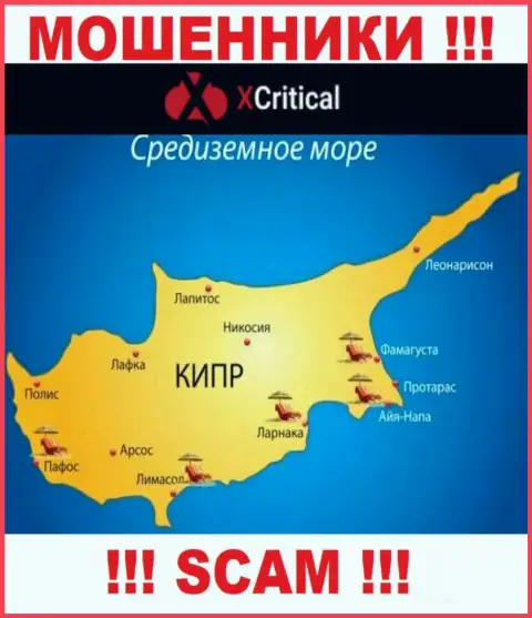 Cyprus - именно здесь, в оффшоре, зарегистрированы мошенники XCritical