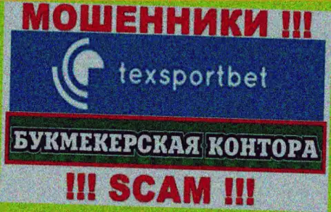 Сфера деятельности мошенников TexSportBet - это Букмекер, однако имейте ввиду это обман !