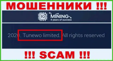 Мошенники IQ Mining пишут, что именно Tunewo Limited владеет их разводняком