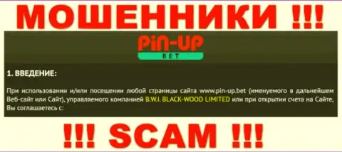 Юридическое лицо компании ПинАп Бет - B.W.I. BLACK-WOOD LIMITED, информация позаимствована с официального сайта