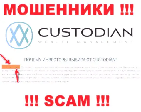 Юридическим лицом, владеющим интернет мошенниками ООО Кастодиан, является ООО Кастодиан