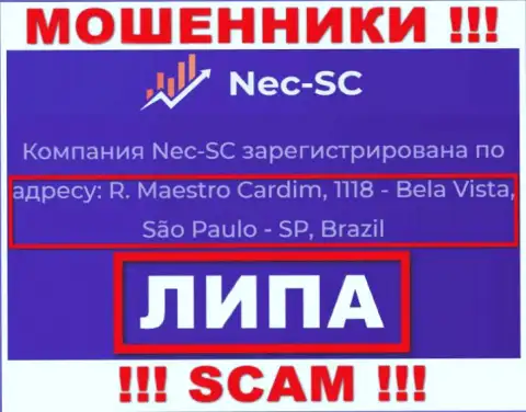 Где именно находится организация NEC SC неизвестно, информация на веб-сайте фейк