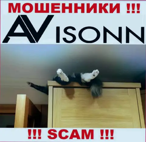 На веб-портале жуликов Avisonn Com Вы не отыщите информации о регуляторе, его просто нет !!!