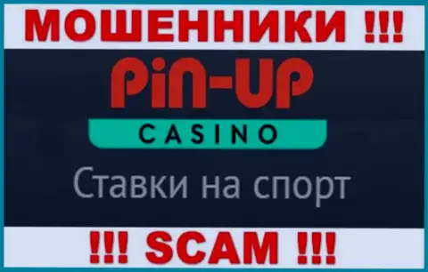 Основная деятельность PinUp Casino - это Казино, будьте крайне осторожны, действуют противоправно