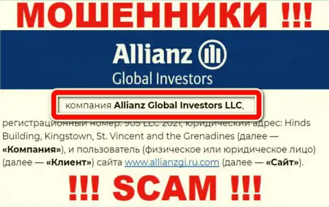 Контора Allianz Global Investors находится под крышей организации Allianz Global Investors LLC