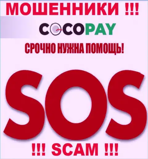 Можно еще попробовать вернуть обратно вложенные деньги из компании Coco Pay Com, обращайтесь, подскажем, как действовать