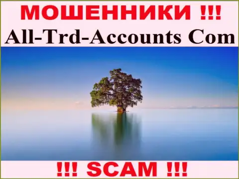 All Trd Accounts крадут финансовые вложения и остаются без наказания - они скрывают сведения об юрисдикции