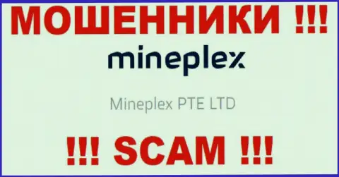 Руководством Майн Плекс оказалась компания - Mineplex PTE LTD