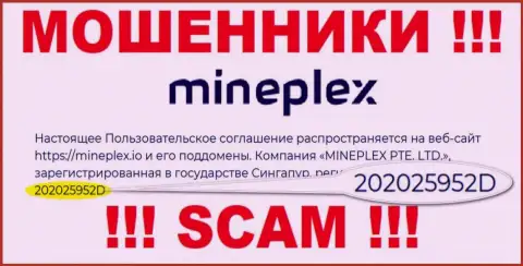 Рег. номер еще одной мошеннической конторы MinePlex Io - 202025952D