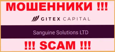 Юр лицо GitexCapital Pro это Сангин Солютионс ЛТД, такую инфу оставили мошенники у себя на сайте
