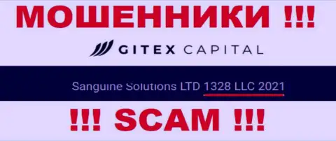 Номер регистрации конторы Gitex Capital: 1328 LLC 2021