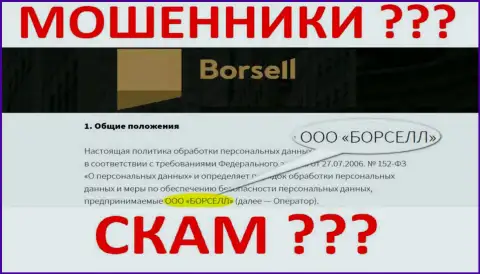 ООО БОРСЕЛЛ - контора, которая управляет internet-мошенниками Борселл