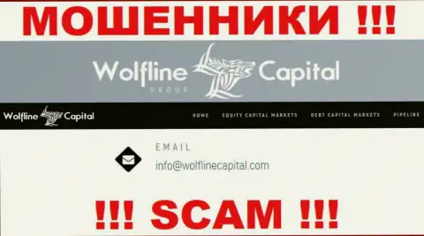 МОШЕННИКИ Wolfline Capital показали на своем онлайн-ресурсе е-майл организации - писать сообщение довольно опасно