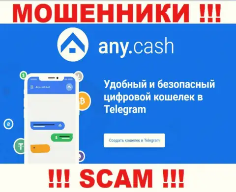 Ани Кеш - это internet-обманщики, их деятельность - Виртуальный кошелек, направлена на присваивание денег доверчивых клиентов